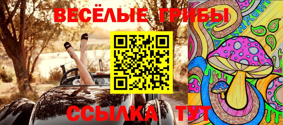 Галлюциногенные грибы Psilocybine cubensis  Вход с VPN  Шали 